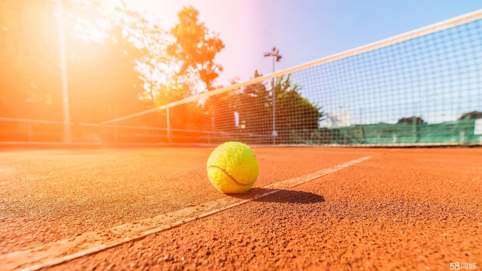 勃的精神力 勃的精神力