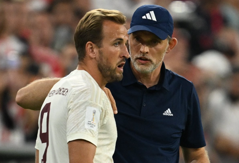 个新的台阶 个新的台阶