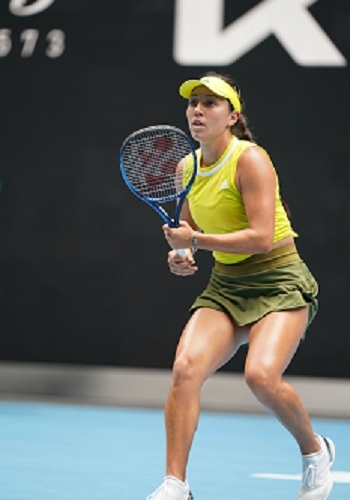 王哲林的比 王哲林的比