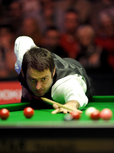 素不可忽视 素不可忽视