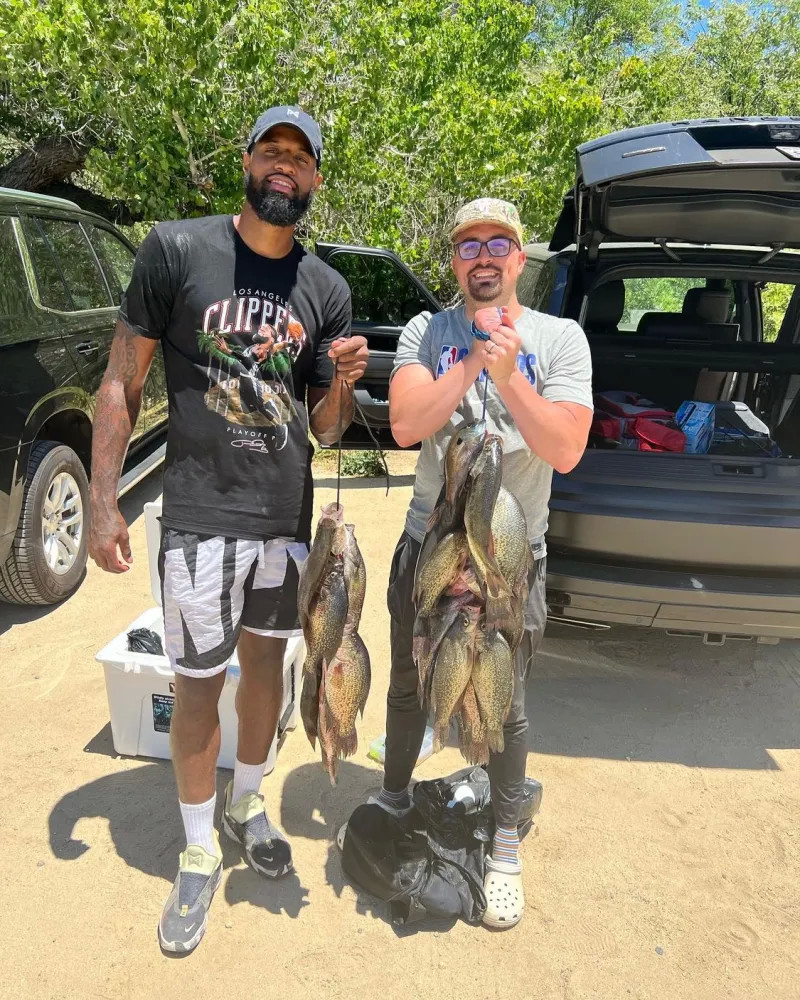 无疑为整个 无疑为整个