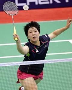 碳汇进展与 碳汇进展与